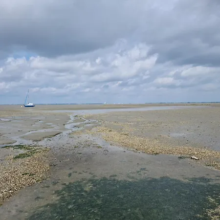 Haus Schwalbennest - An Der Nordsee * Sehestedt (Lower-Saxony)