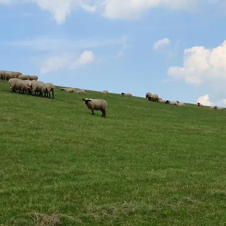 Haus Schwalbennest - An Der Nordsee Ferienhaus *