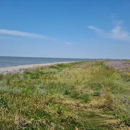 Haus Schwalbennest - An Der Nordsee Sehestedt (Lower-Saxony)