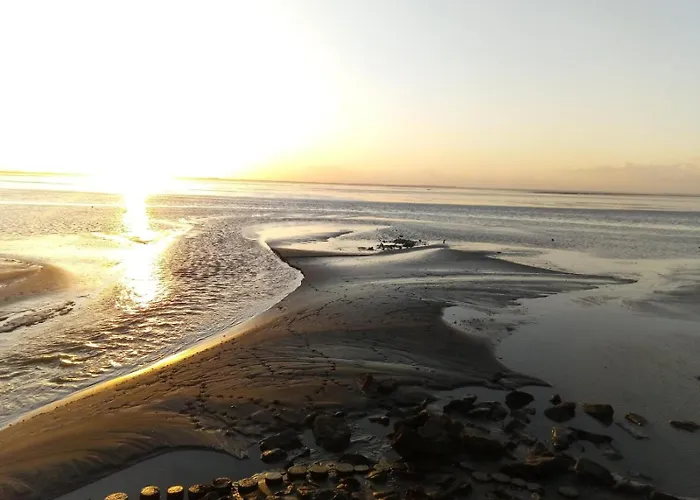 Hébergement de vacances Haus Schwalbennest - An Der Nordsee Sehestedt (Lower-Saxony)